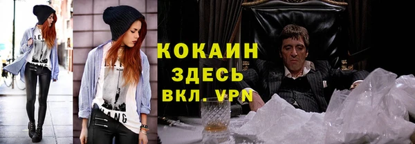 винт Алзамай