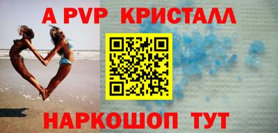 индика Камышлов