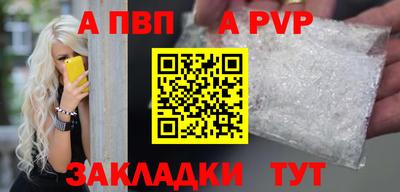 индика Камышлов