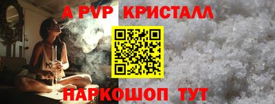 индика Камышлов