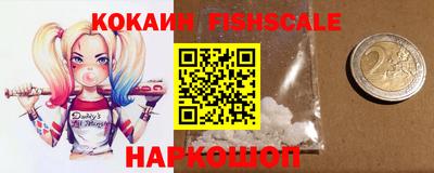 индика Камышлов