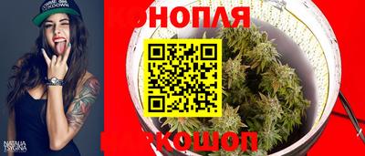 индика Камышлов