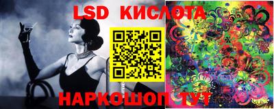 индика Камышлов