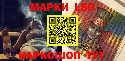 индика Камышлов