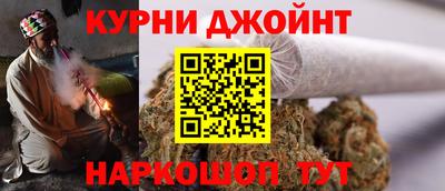 индика Камышлов