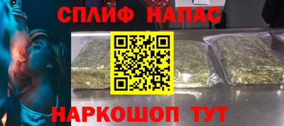 индика Камышлов