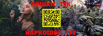 индика Камышлов