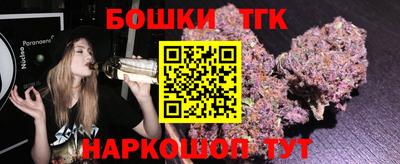 индика Камышлов