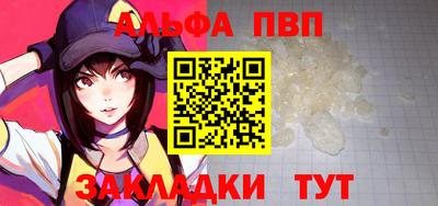 индика Камышлов