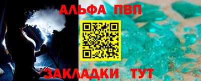 индика Камышлов