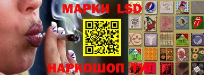 индика Камышлов