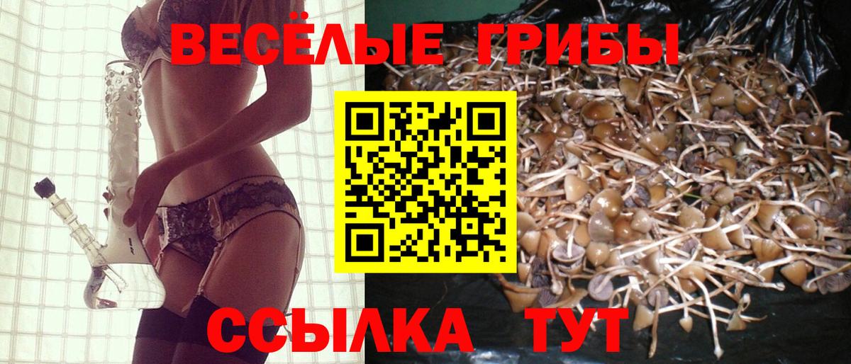 Галлюциногенные грибы Magic Shrooms Миасс